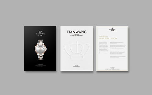 手表包裝與VI設(shè)計(jì) 彰顯品牌魅力的藝術(shù)